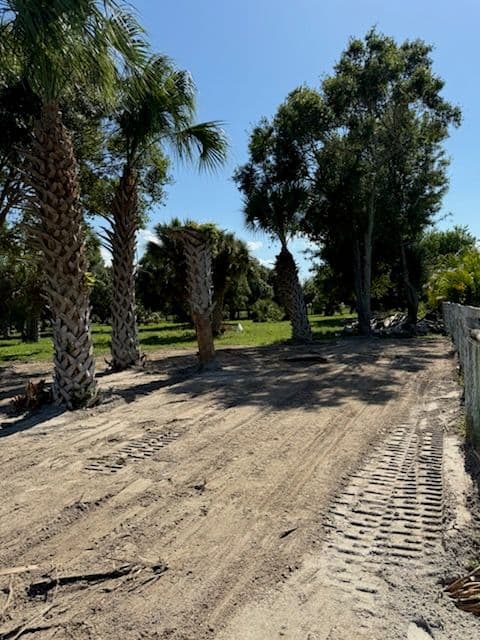 Project Revitalizing Landscapes with Expert Land Leveling image